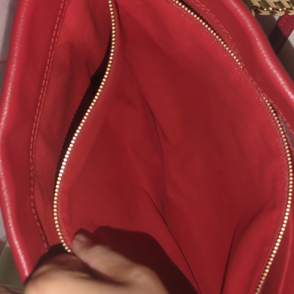 Pallas - Picture 8 of 8